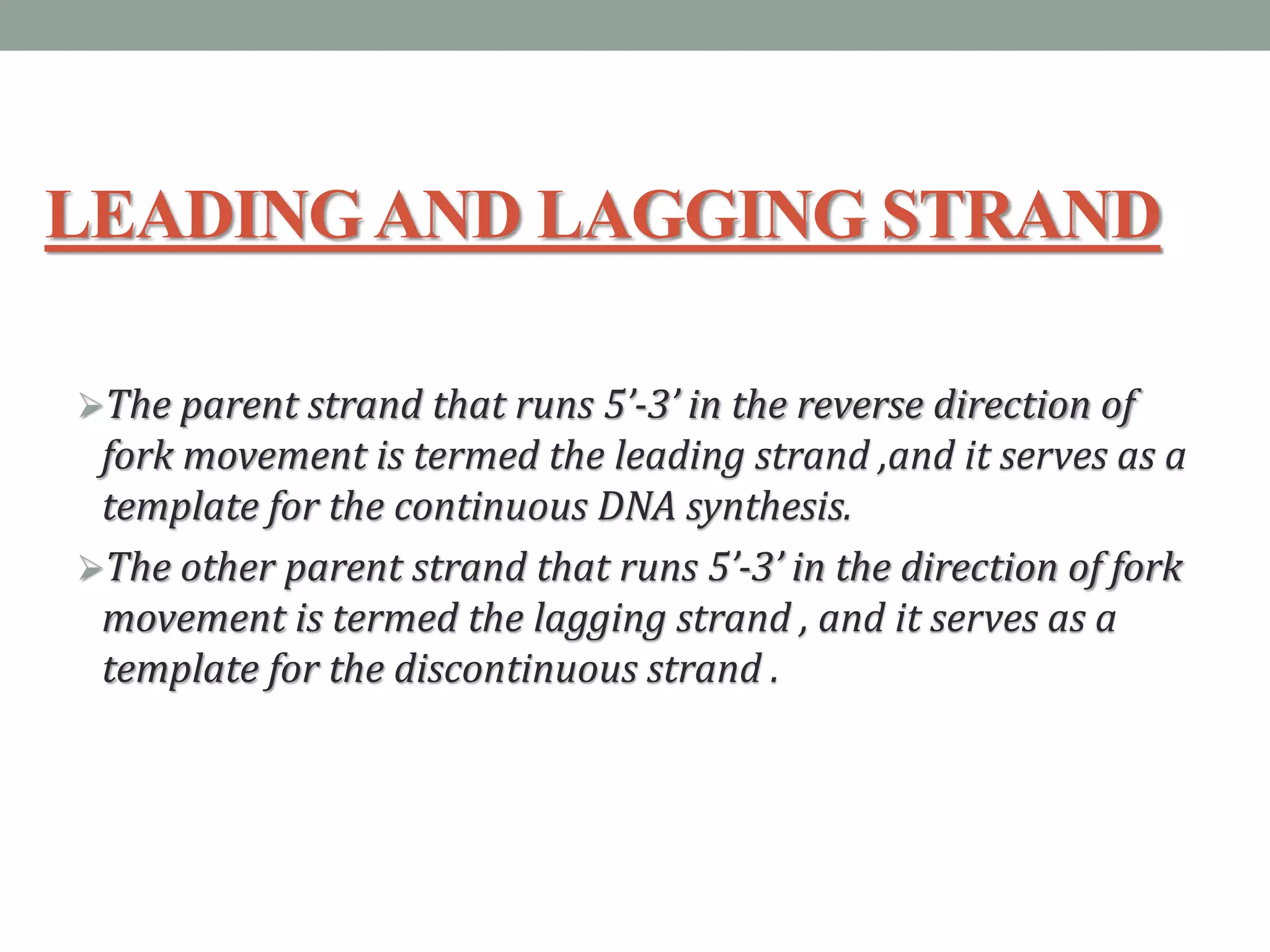 LEADINGAND LAGGING STRAND
The parent strand that runs 5’-3’ in the reverse direction of
fork movement is termed the leading strand ,and it serves as a
template for the continuous DNA synthesis.
The other parent strand that runs 5’-3’ in the direction of fork
movement is termed the lagging strand , and it serves as a
template for the discontinuous strand .
