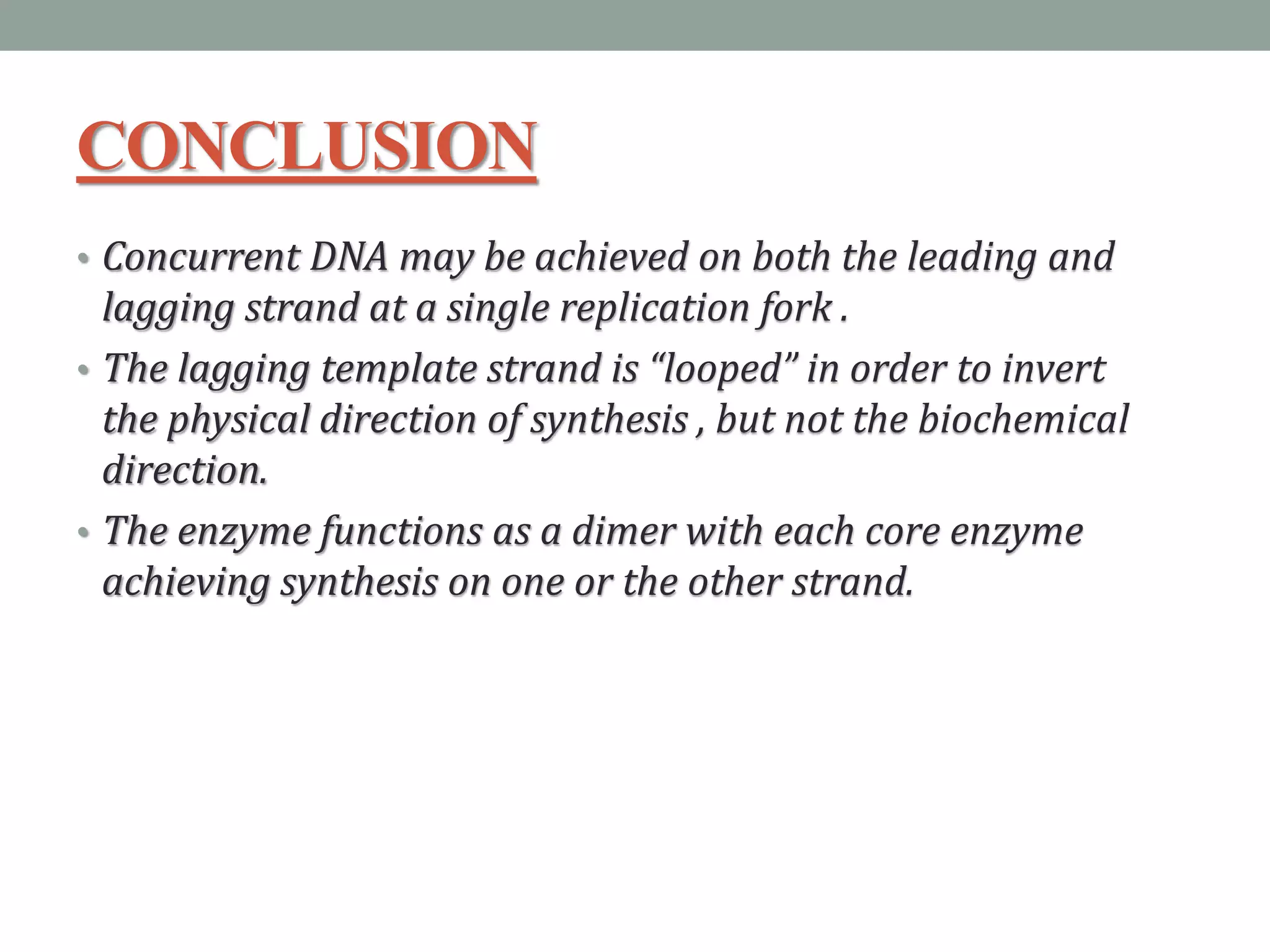 CONCLUSION
• Concurrent DNA may be achieved on both the leading and
lagging strand at a single replication fork .
• The lagging template strand is “looped” in order to invert
the physical direction of synthesis , but not the biochemical
direction.
• The enzyme functions as a dimer with each core enzyme
achieving synthesis on one or the other strand.