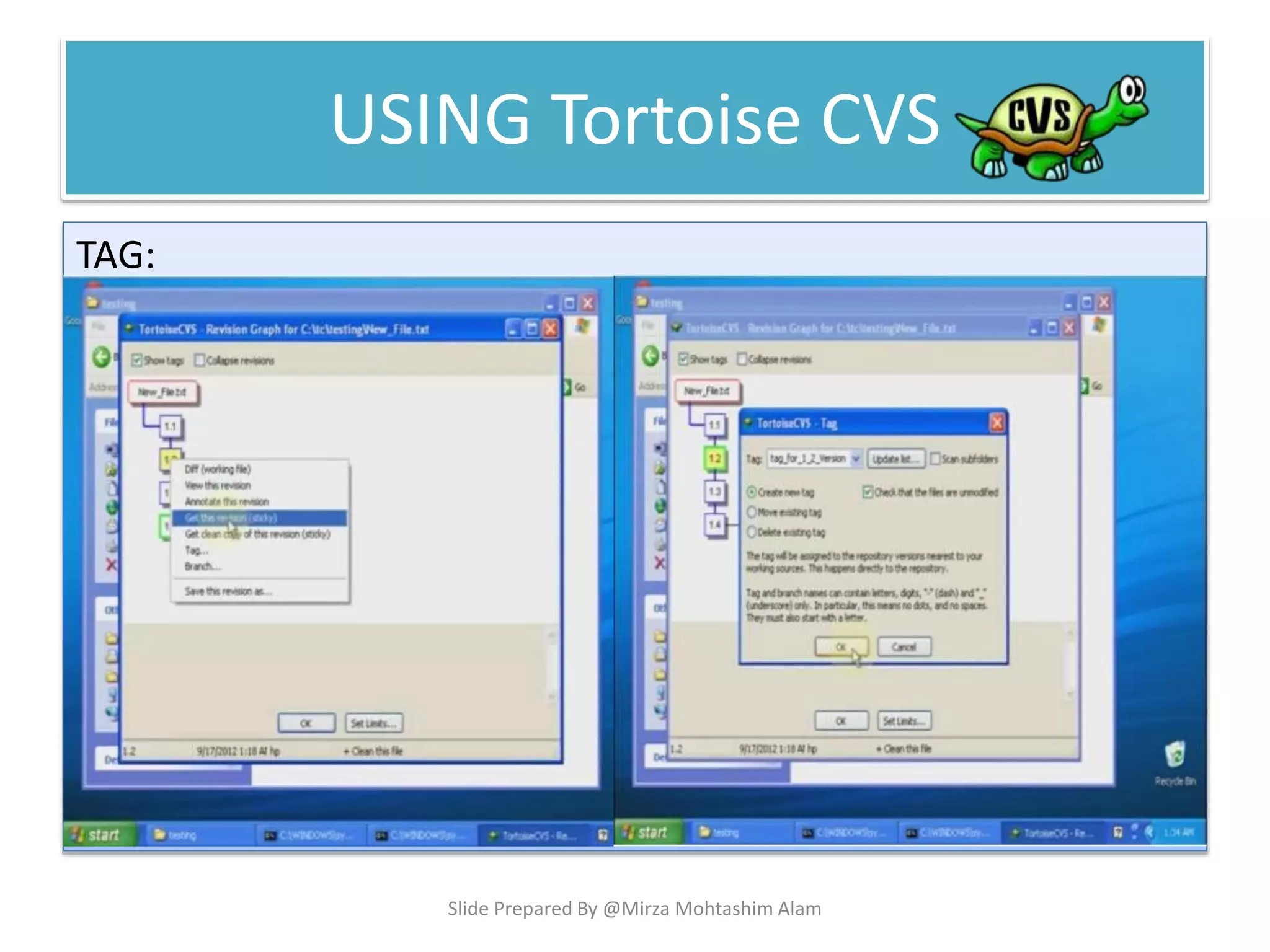 USING Tortoise CVS
TAG:
Slide Prepared By @Mirza Mohtashim Alam
 
