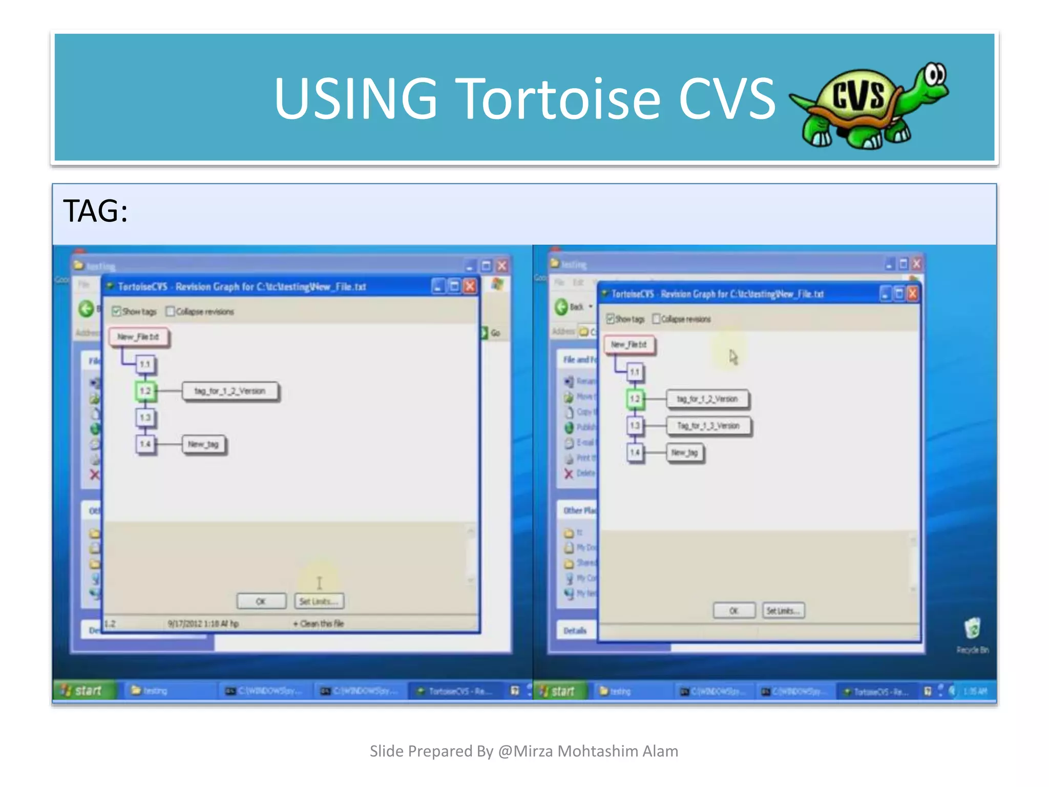 USING Tortoise CVS
TAG:
Slide Prepared By @Mirza Mohtashim Alam
 
