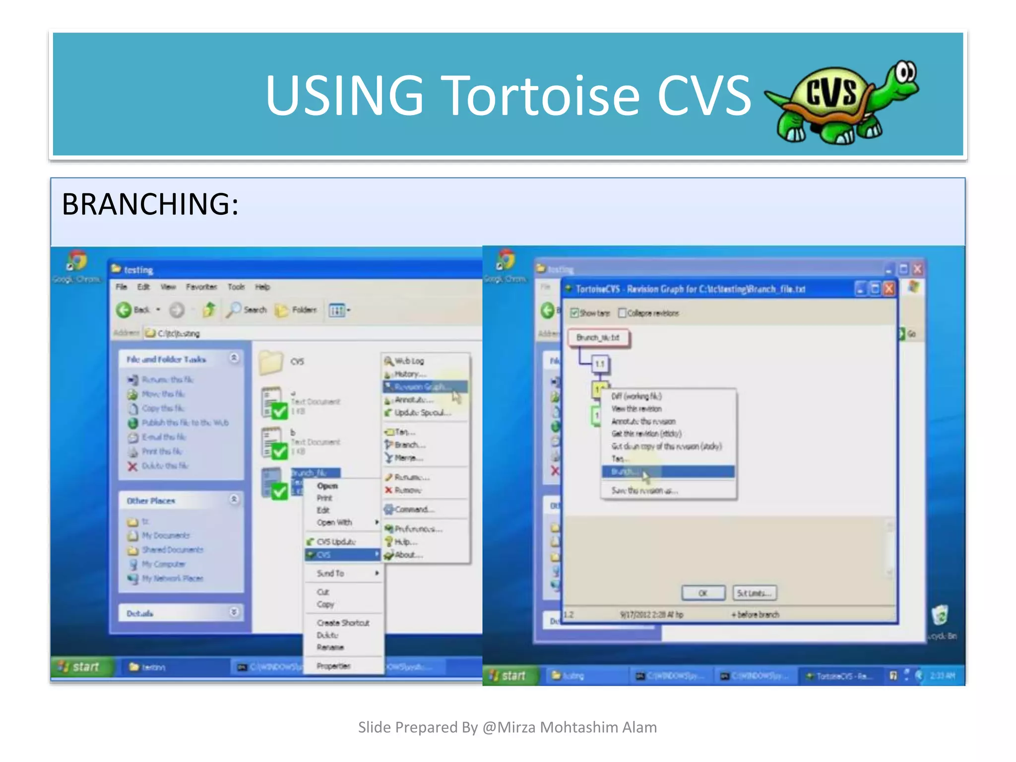 USING Tortoise CVS
BRANCHING:
Slide Prepared By @Mirza Mohtashim Alam
 