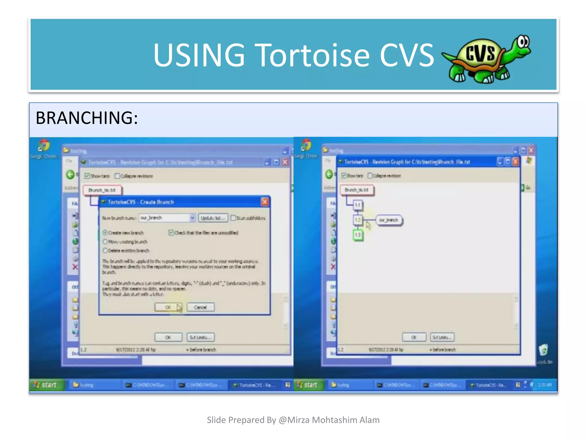 USING Tortoise CVS
BRANCHING:
Slide Prepared By @Mirza Mohtashim Alam
 