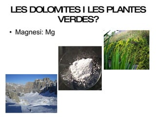 LES DOLOMITES I LES PLANTES VERDES? Magnesi: Mg