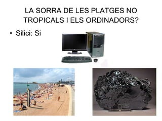 LA SORRA DE LES PLATGES NO TROPICALS I ELS ORDINADORS? Silici: Si
