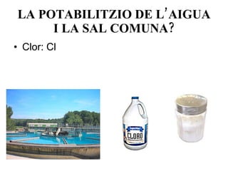 LA POTABILITZIO DE L’AIGUA I LA SAL COMUNA? Clor: Cl