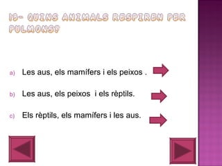 a)

Les aus, els mamífers i els peixos .

b)

Les aus, els peixos i els rèptils.

c)

Els rèptils, els mamífers i les aus.

 