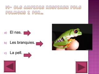 a)

El nas.

b)

Les branquies.

c)

La pell.

 