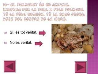 a)

Sí, és tot veritat.

b)

No és veritat.

 