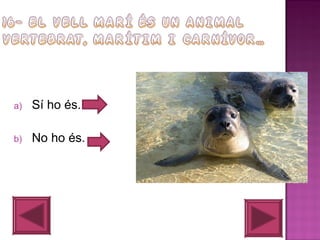 a)

Sí ho és.

b)

No ho és.

 