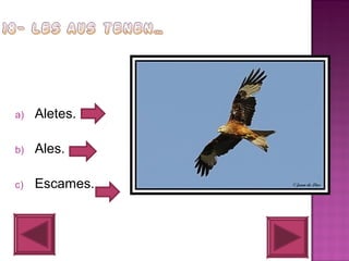 a)

Aletes.

b)

Ales.

c)

Escames.

 