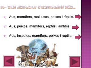 a)

Aus, mamífers, mol.luscs, peixos i rèptils.

b)

Aus, peixos, mamífers, rèptils i amfibis.

c)

Aus, insectes, mamífers, peixos i rèptils.

 