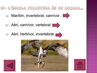 a)

Marítim, invertebrat, carnívor .

b)

Aèri, carnívor, vertebrat.

c)

Aèri, herbívor, invertebrat.

 
