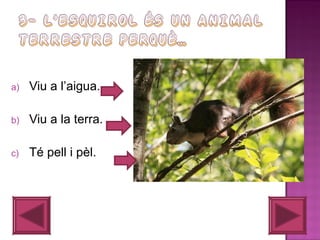 a)

Viu a l’aigua.

b)

Viu a la terra.

c)

Té pell i pèl.

 