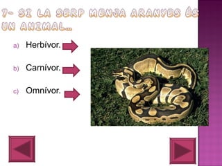 a)

Herbívor.

b)

Carnívor.

c)

Omnívor.

 