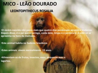 Vive à volta de 60 anos.