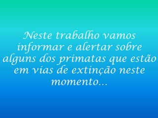 Neste trabalho vamos informar e alertar sobre alguns dos primatas que estão em vias de extinção neste momento… 