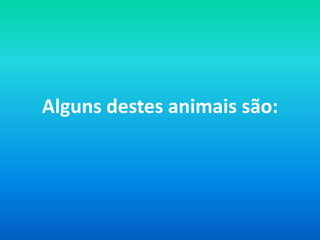 Alguns destes animais são: