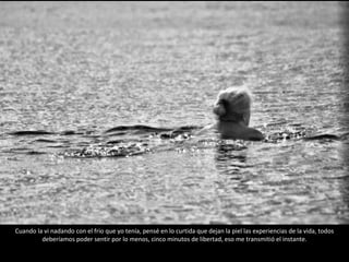 Cuando la vi nadando con el frio que yo tenía, pensé en lo curtida que dejan la piel las experiencias de la vida, todos deberíamos poder sentir por lo menos, cinco minutos de libertad, eso me transmitió el instante. 