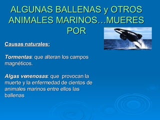 ALGUNAS BALLENAS y OTROS ANIMALES MARINOS…MUERES POR Causas naturales: Tormentas :  que alteran los campos magnéticos. Algas venenosas :  que  provocan la muerte y la enfermedad de cientos de animales marinos entre ellos las ballenas 