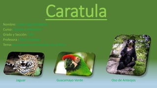 CaratulaNombre: Caleb Tapia Barbarón
Curso: Ciencia y Ambiente
Grado y Sección: 5AII
Profesora : Doris Chumbe
Tema: Los animales en extinción en el Perú
Jaguar Guacamayo Verde Oso de Anteojos
 