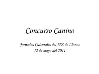 Concurso Canino Jornadas Culturales del IES de Llanes 12 de mayo del 2011 