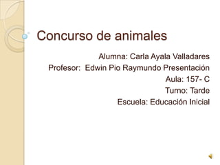 Concurso de animales
Alumna: Carla Ayala Valladares
Profesor: Edwin Pio Raymundo Presentación
Aula: 157- C
Turno: Tarde
Escuela: Educación Inicial

 