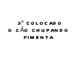 3 º C O L O C AD O
O C ÃO C H U P AN D O
PIM E N T A