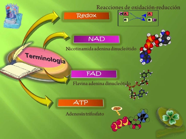 Tiene más preguntas sobre características de la dieta mediterránea?
