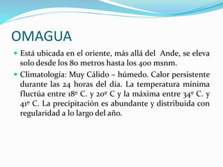 OMAGUA
 Está ubicada en el oriente, más allá del Ande, se eleva
solo desde los 80 metros hasta los 400 msnm.
 Climatología: Muy Cálido – húmedo. Calor persistente
durante las 24 horas del día. La temperatura mínima
fluctúa entre 18º C. y 20º C y la máxima entre 34º C. y
41º C. La precipitación es abundante y distribuida con
regularidad a lo largo del año.
 