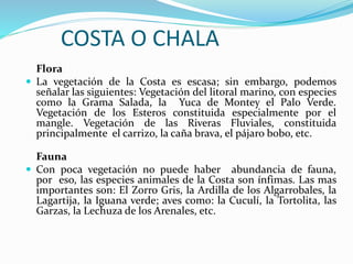 COSTA O CHALA
Flora
 La vegetación de la Costa es escasa; sin embargo, podemos
señalar las siguientes: Vegetación del litoral marino, con especies
como la Grama Salada, la Yuca de Montey el Palo Verde.
Vegetación de los Esteros constituida especialmente por el
mangle. Vegetación de las Riveras Fluviales, constituida
principalmente el carrizo, la caña brava, el pájaro bobo, etc.
Fauna
 Con poca vegetación no puede haber abundancia de fauna,
por eso, las especies animales de la Costa son ínfimas. Las mas
importantes son: El Zorro Gris, la Ardilla de los Algarrobales, la
Lagartija, la Iguana verde; aves como: la Cuculí, la Tortolita, las
Garzas, la Lechuza de los Arenales, etc.
 