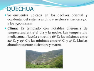 QUECHUA
 Se encuentra ubicada en los declives oriental y
occidental del sistema andino y se eleva entre los 2300
y los 3500 msnm.
 Clima: Es templado con notables diferencia de
temperatura entre el día y la noche. Las temperatura
media anual fluctúa entre 11 y 16º C; las máximas entre
22º C. y 29º C y las mínimas entre 7º C. y 4º C. Lluvias
abundantes entre diciembre y marzo.
 