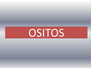 OSITOS

 