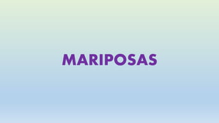 MARIPOSAS
 