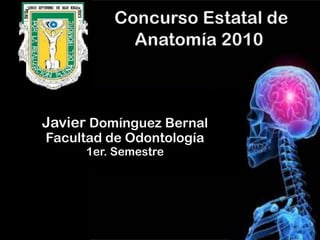 Javier Domínguez Bernal
Facultad de Odontología
1er. Semestre

 