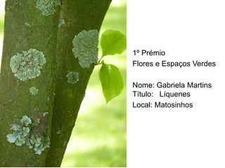 1º Prémio
Flores e Espaços Verdes

Nome: Gabriela Martins
Título: Líquenes
Local: Matosinhos
 