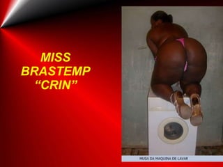 MISS BRASTEMP “CRIN” 