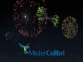 Grande Concurso Mister Colibri