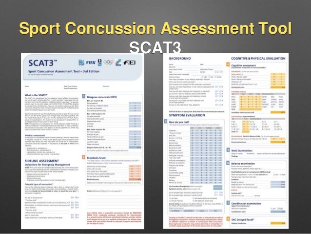 Handy image with regard to scat 3 printable form Astounding image with regard to scat 3 printable form