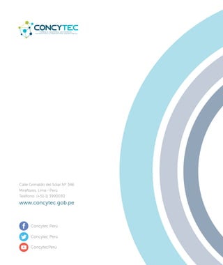Programa de materiales del CONCYTEC