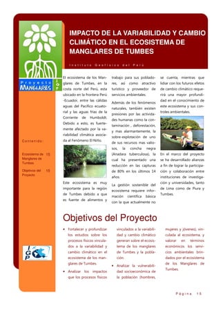 IMPACTO DE LA VARIABILIDAD Y CAMBIO
CLIMÁTICO EN EL ECOSISTEMA DE
MANGLARES DE TUMBES
I n s t i t u t o

G e o f í s i c o

d e l

P e r ú

El ecosistema de los Man-

trabajo para sus poblado-

se cuenta, mientras que

glares de Tumbes, en la

res,

atractivo

lidiar con los futuros efetos

costa norte del Perú, esta

turístico y proveedor de

de cambio climático reque-

ubicado en la frontera Perú

servicios ambientales.

rirá una mayor profundi-

-Ecuador, entre las cálidas
aguas del Pacifico ecuatorial y las aguas frías de la
Corriente

de

Humboldt.

Debido a esto, es fuertemente afectado por la variabilidad climática asociada al Fenómeno El Niño.

Contenido:

así

como

Además de los fenómenos
naturales, también existen
presiones por las activida-

dad en el conocimiento de
este ecosistema y sus controles ambientales.

des humanas como la contaminación , deforestación,
y mas alarmantemente, la
sobre-explotación de uno
de sus recursos mas valiosos,

la

concha

negra

Ecosistema de 15
Manglares de
Tumbes

(Anadara tuberculosa), la

En el marco del proyecto

cual ha presentado una

se ha desarrollado alianzas

reducción en las capturas

a fin de lograr la participa-

15

de 80% en los últimos 14

ción y colaboración entre

años.

instituciones de investiga-

Objetivos del
Proyecto

Este ecosistema es muy
importante para la región
de Tumbes debido a que
es fuente de alimentos y

La gestión sostenible del
ecosistema requiere información

científica

básica

ción y universidades, tanto
de Lima como de Piura y
Tumbes.

con la que actualmente no

Objetivos del Proyecto
• Fortalecer y profundizar

vinculados a la variabili-

mujeres y jóvenes), vin-

los estudios sobre los

dad y cambio climático

culada al ecosistema, y

procesos físicos vincula-

generan sobre el ecosis-

valorar

dos a la variabilidad y

tema de los manglares

económicos los servi-

cambio climático en el

de Tumbes y la pobla-

cios ambientales brin-

ecosistema de los man-

ción.

dados por el ecosistema

glares de Tumbes.

• Analizar la vulnerabili-

• Analizar los impactos

dad socioeconómica de

que los procesos físicos

en

términos

de los Manglares de
Tumbes.

la población (hombres,

Página

15

 
