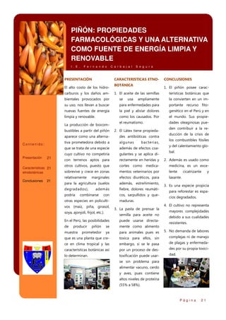 PIÑÓN: PROPIEDADES
FARMACOLÓGICAS Y UNA ALTERNATIVA
COMO FUENTE DE ENERGÍA LIMPIA Y
RENOVABLE
I . E .

F e r n a n d o

PRESENTACIÓN

C a r b a j a l

S e g u r a

CARACTERISTICAS ETNO-

El alto costo de los hidrocarburos y los daños am-

BOTÁNICA

1. El piñón posee carac-

1. El aceite de las semillas

terísticas botánicas que

bientales provocados por

se

ampliamente

la convierten en un im-

su uso, nos llevan a buscar

para enfermedades para

portante recurso fito-

nuevas fuentes de energía

la piel y aliviar dolores

genético en el Perú y en

limpia y renovable.

como los causados. Por

el mundo. Sus propie-

el reumatismo.

dades oleaginosas pue-

La producción de biocom-

usa

CONCLUSIONES

den contribuir a la re-

bustibles a partir del piñón
aparece como una alterna-

21

Características 21
etnobotánicas

Conclusiones

21

algunas

que se trata de una especie
Presentación

des antibióticas contra

tiva prometedora debido a

Contenido:

2. El Látex tiene propieda-

además de efectos coa-

cuyo cultivo no competiría

gulantes y se aplica di-

con terrenos aptos para

rectamente en heridas y

otros cultivos, puesto que

cortes

sobrevive y crece en zonas

mentos veterinarios por

lente

relativamente

marginales

efectos diuréticos, para

laxante.

para la agricultura (suelos

además, estreñimiento,

degradados),

fiebre, dolores reumáti-

podría

además

combinarse

con

otras especies en policultivos (maíz, piña, girasol,
soya, ajonjolí, frijol, etc.).

bacterias,

como

medica-

cos, sarpullidos y quemaduras.
3. La pasta de prensar la
semilla para aceite no

En el Perú, las posibilidades

puede usarse directa-

de

ducción de la crisis de
los combustibles fósiles
y del calentamiento global.
2. Además es usado como
medicina, es un excecicatrizante

y

3. Es una especie propicia
para reforestar es espacios degradados.
4. El cultivo no representa
mayores complejidades
debido a sus cualidades
resistentes.

piñón

se

mente como alimento

prometedor

ya

para animales pues es

5. No demanda de labores

que es una planta que cre-

toxica para ellos, sin

complejas ni de manejo

ce en clima tropical y las

embargo, si se le pasa

de plagas y enfermeda-

características botánicas así

por un proceso de des-

des por su propia toxici-

lo determinan.

toxificación puede usar-

dad.

producir

muestra

se sin problema para
alimentar vacuno, cerdo
y aves, pues contiene
altos niveles de proteína
(55% a 58%).

Página

21

 