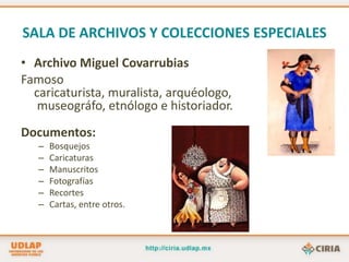 Se pueden realizar cinco diferentes tipos de búsqueda en la Web. 