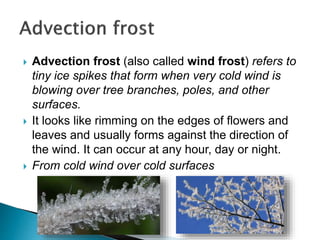  Advection frost (also called wind frost) refers to
tiny ice spikes that form when very cold wind is
blowing over tree branches, poles, and other
surfaces.
 It looks like rimming on the edges of flowers and
leaves and usually forms against the direction of
the wind. It can occur at any hour, day or night.
 From cold wind over cold surfaces
 