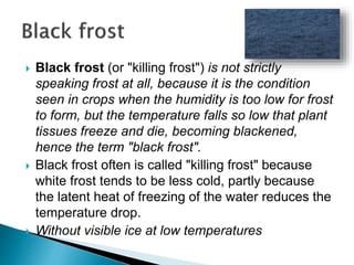  Black frost (or "killing frost") is not strictly
speaking frost at all, because it is the condition
seen in crops when the humidity is too low for frost
to form, but the temperature falls so low that plant
tissues freeze and die, becoming blackened,
hence the term "black frost".
 Black frost often is called "killing frost" because
white frost tends to be less cold, partly because
the latent heat of freezing of the water reduces the
temperature drop.
 Without visible ice at low temperatures
 