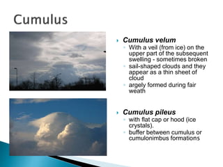  Cumulus velum
◦ With a veil (from ice) on the
upper part of the subsequent
swelling - sometimes broken
◦ sail-shaped clouds and they
appear as a thin sheet of
cloud
◦ argely formed during fair
weath
 Cumulus pileus
◦ with flat cap or hood (ice
crystals).
◦ buffer between cumulus or
cumulonimbus formations
 