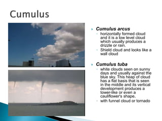  Cumulus arcus
◦ horizontally formed cloud
and it is a low level cloud
which usually produces a
drizzle or rain.
◦ Shield cloud and looks like a
wall cloud
 Cumulus tuba
◦ white clouds seen on sunny
days and usually against the
blue sky. This heap of cloud
has a flat basis that is seen
in the middle and its vertical
development produces a
tower-like or even a
cauliflower's shape.
◦ with funnel cloud or tornado
 
