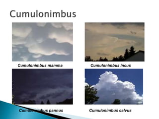 Cumulonimbus mamma Cumulonimbus incus
Cumulonimbus pannus Cumulonimbus calvus
 