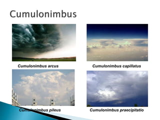 Cumulonimbus arcus Cumulonimbus capillatus
Cumulonimbus pileus Cumulonimbus praecipitatio
 
