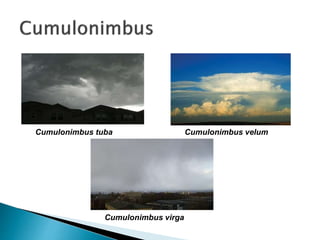 Cumulonimbus tuba Cumulonimbus velum
Cumulonimbus virga
 