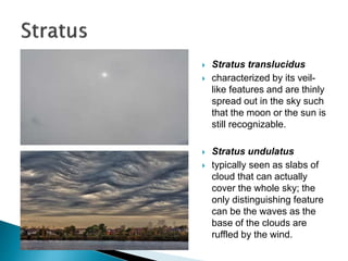  Stratus translucidus
 characterized by its veil-
like features and are thinly
spread out in the sky such
that the moon or the sun is
still recognizable.
 Stratus undulatus
 typically seen as slabs of
cloud that can actually
cover the whole sky; the
only distinguishing feature
can be the waves as the
base of the clouds are
ruffled by the wind.
 